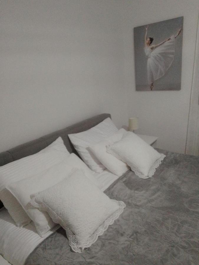 Nektar 88 Appartement Vrnjačka Banja Buitenkant foto