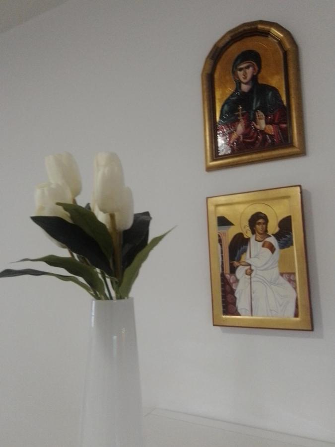 Nektar 88 Appartement Vrnjačka Banja Buitenkant foto