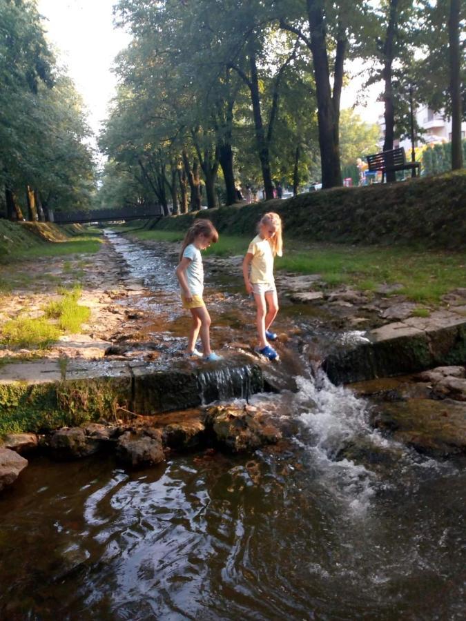 Nektar 88 Appartement Vrnjačka Banja Buitenkant foto